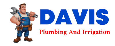 Trusted plumber in DAVIS STATION